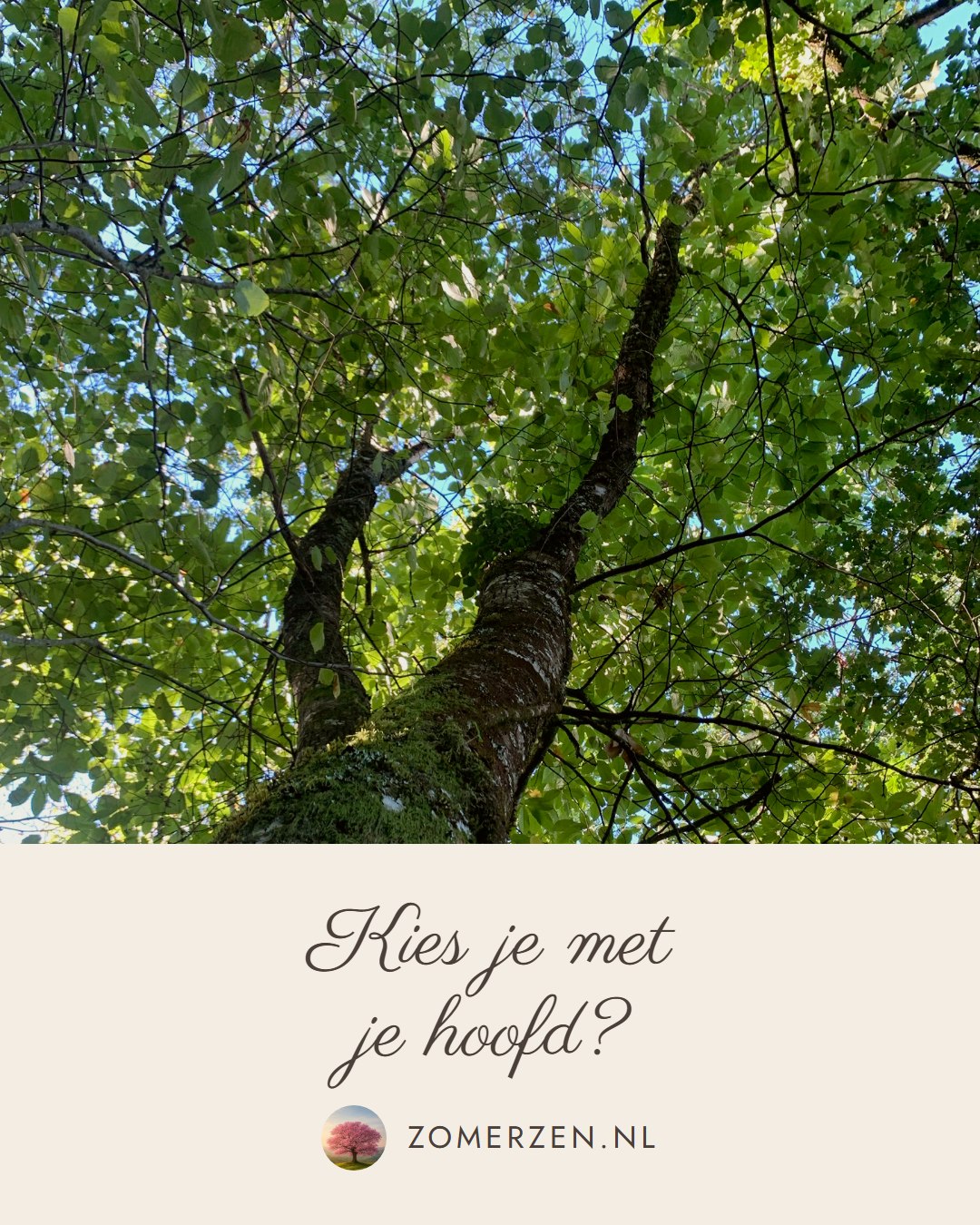 Kies je met je hoofd?