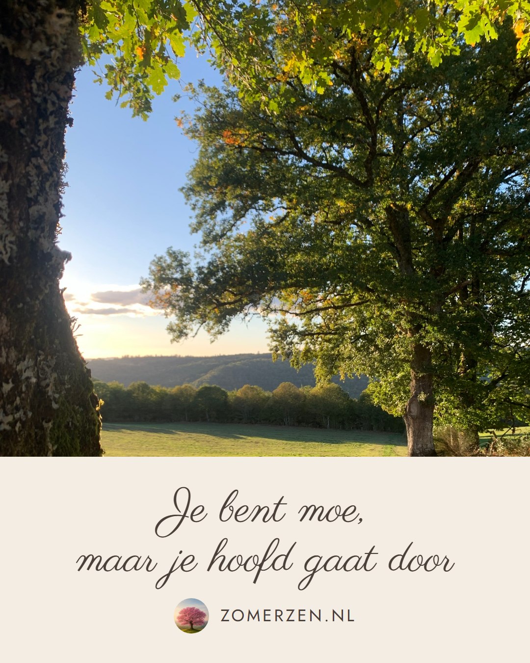 Je bent moe, maar je hoofd gaat door