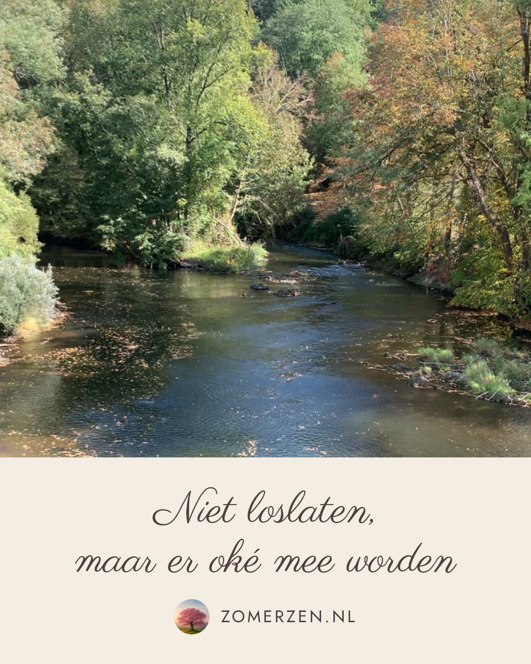 Niet loslaten, maar er oké mee worden