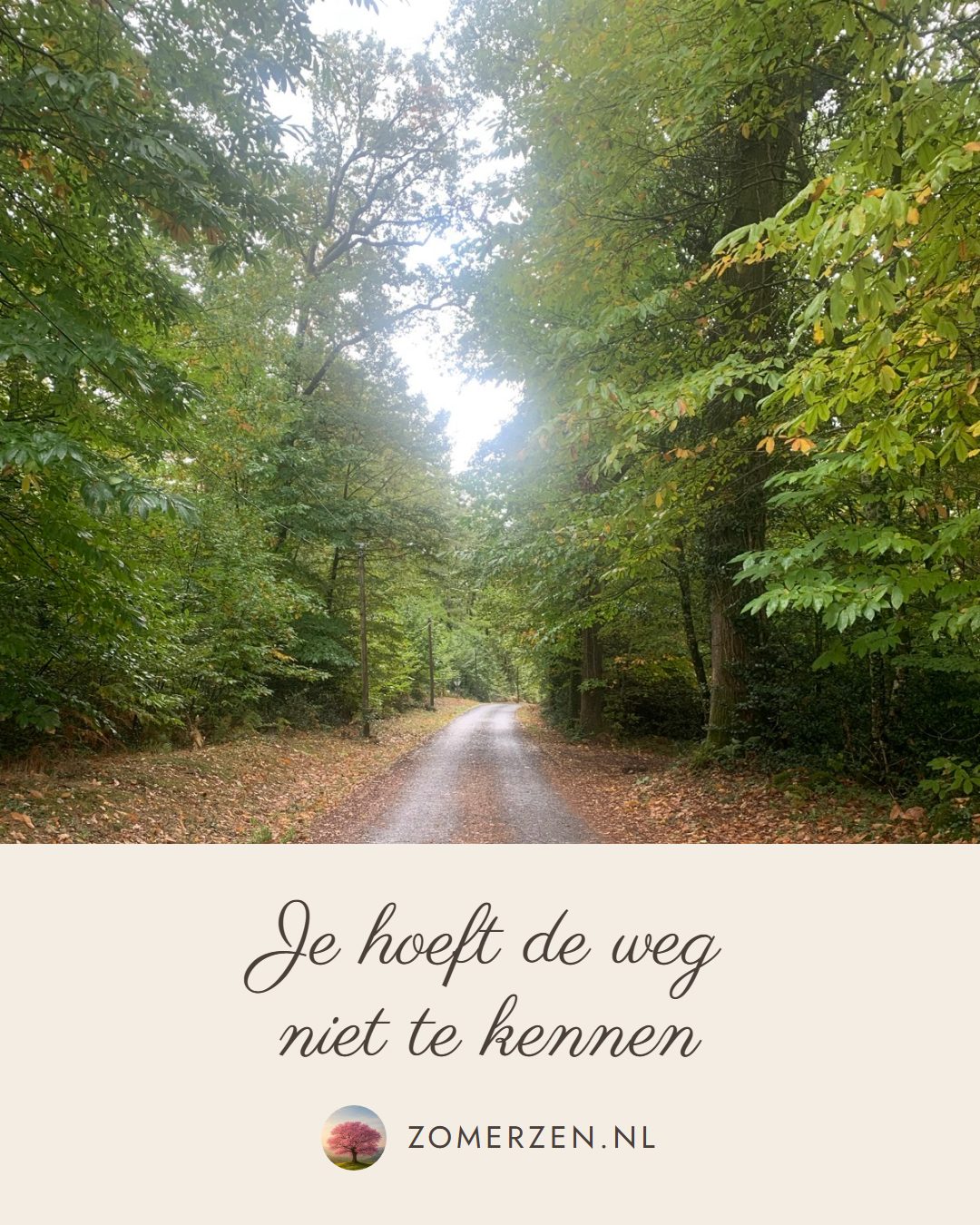 Je hoeft de weg niet te kennen